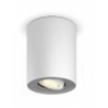Pillar Hue Faretto Connesso singolo Bianco + Dimmer Switch