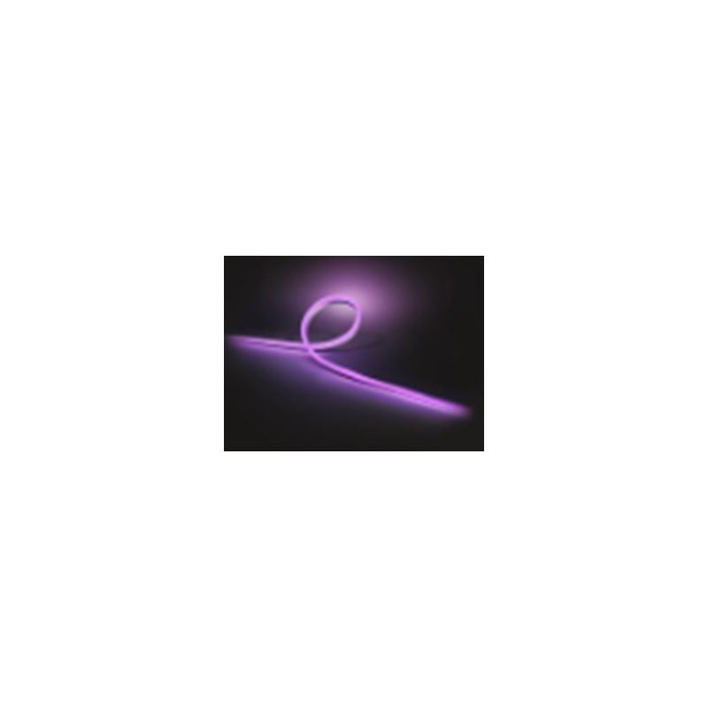 Lightstrip Hue Esterno 5m