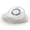Strip LED SMD5050 10.8W/m 5m 60 LED/m 12V 3000K IP20 10mm