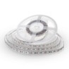 Strip LED SMD5050 10,8W/m 5m 60 LED/m Rosso 12V IP20 10mm