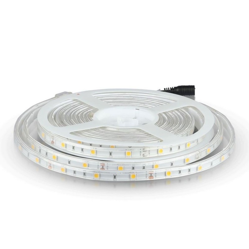 Strip LED SMD5050 4,8W/m 5m 30 LED/m 12V 6400K IP65 10mm