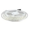 Strip LED SMD5050 9W/m 5m 60 LED/m 24V 3000K IP65 10mm