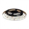Kit per Strip LED SMD5050 4W/m 54LED/m RGB e 3in1 5 metri 12V