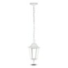 Lampadario LED da Giardino a Sospensione in Alluminio con Portalampada E27(Max 60W)