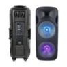 Altoparlante Trolley Ricaricabile 150W con Microfono Wireless + uno Cablato Telecomando RGB per Casse 2 x 15 pollici