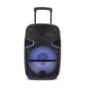 Altoparlante Trolley Ricaricabile 35W Microfono Cablato Telecomando RGB per Cassa 12 pollici