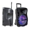 Altoparlante Trolley Ricaricabile 35W Microfono Cablato Telecomando RGB per Cassa 12 pollici
