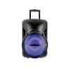 Altoparlante Trolley Ricaricabile 50W con Microfono Wireless + uno Cablato Telecomando RGB per Cassa 15 pollici