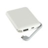 Power Bank 5.000 mAh con Display e cavo USB