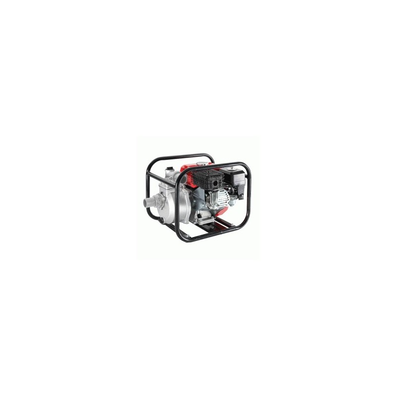 MOTOPOMPA AUTOADESCANTE MP33000