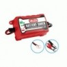 CARICABAT. MANTENITORE BATTERY SAVER
